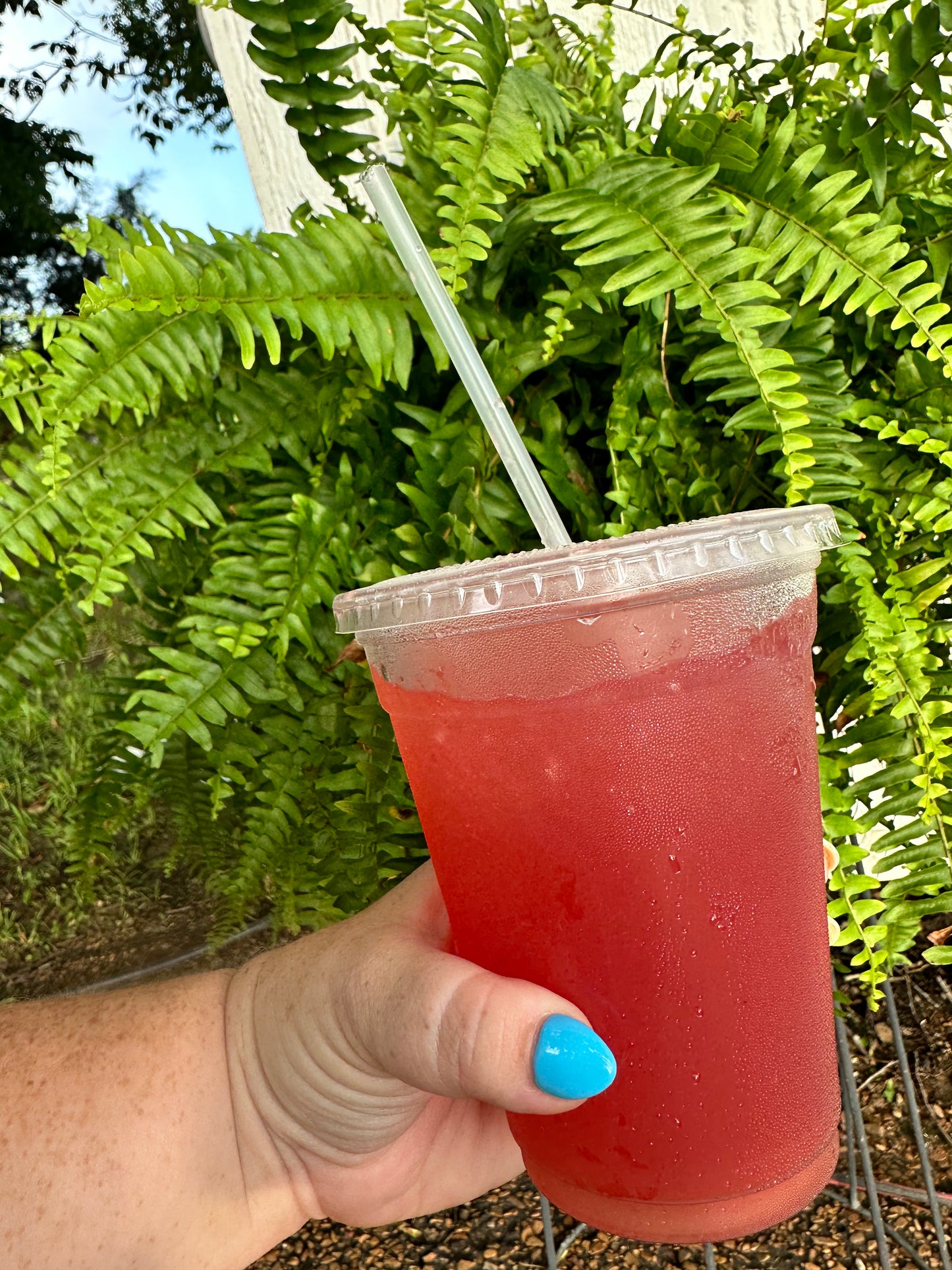 Fruit Roll up  Lotus 16oz